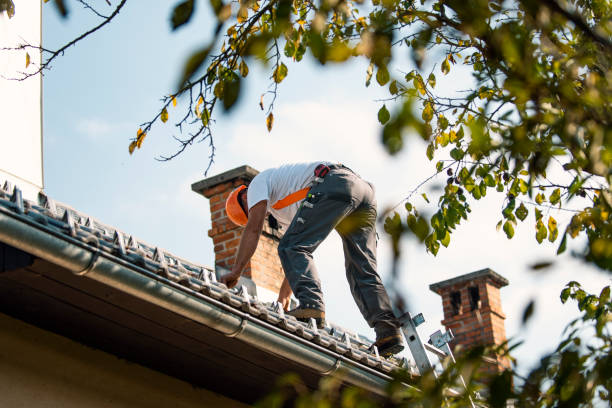 Best Residential Roofing Contractor  in Trenton, TN